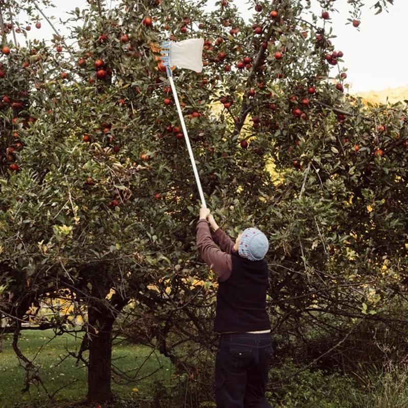 Metal Fruit Picker High Tree Picking Tools for Harvest Apple Citrus Pear Peach Catcher Collector TOO789 | Спорт и развлечения
