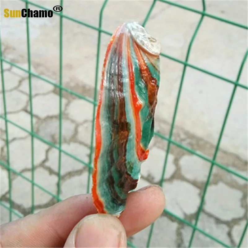 Ракушка в виде натуральных ракушек красочная ракушка форме морской звезды