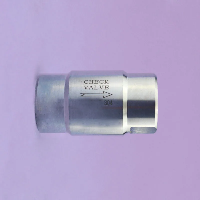 

304 Stainless Steel High Pressure Check Valve One-way High Temperature Resistant Check Valve for Gas Pipe Water Pump Boiler