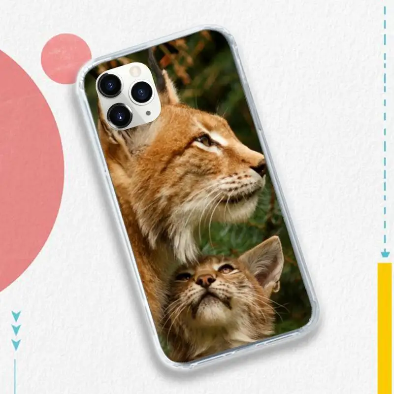 

African Lynx Caracal Big Cat Phone Case for iPhone 11 12 pro XS MAX 8 7 6 6S Plus X 5S SE 2020 XR