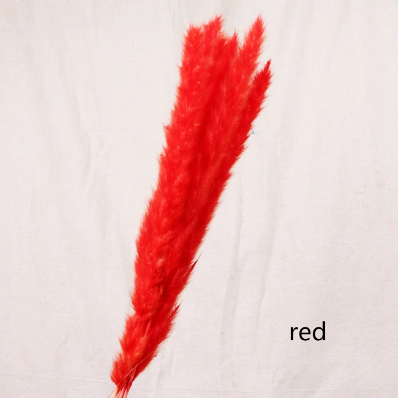 red 7 шт. Bulrush Натуральные Сушеные маленькие пампасы травы Phragmites растения искусственные, свадебные цветы букет домашний Рождественский Декор искусственный цветок - Цвет: red