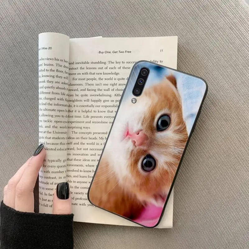 

Lovely animal cat kitten Phone Case For Samsung galaxy S 7 8 9 10 20 edge A 6 10 20 30 50 51 70 note 10 plus