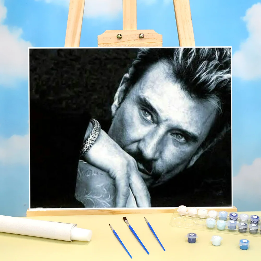 

Джонни Холлидей художественном творчестве, Набор цифр масляными красками 50*70 холст картины настенные картины, ремесленные поделки для взро...