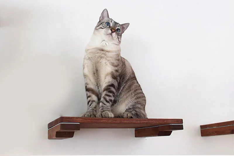 Wall-mounted Cat Solid Shelf Climbing Frame Cat Tree Hammock Pet Furniture Play House