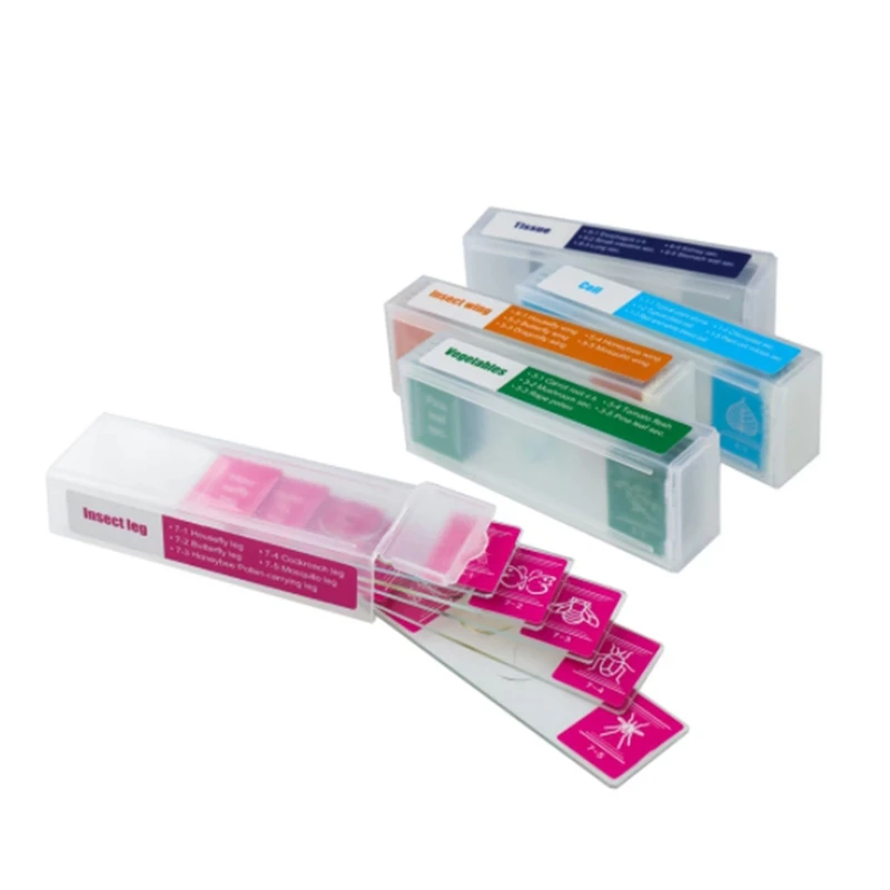 

35 Piece of Colorful Microscope Specimens Biological Prepared Specimen Slides Primary and Secondary Gifts