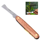 Прививочный нож для обрезки растений из нержавеющей стали с деревянной ручкой