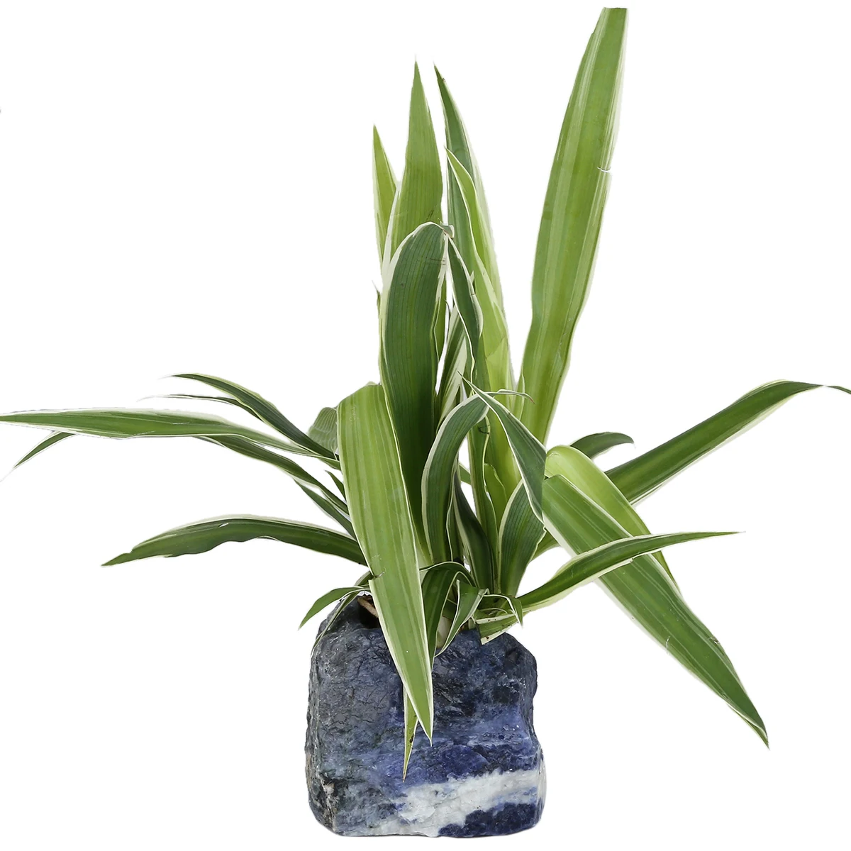 Natural Rough Crystal Stone Candlestick Candle Holder Irregular Succulent Plant Pot Table Decoration Room Decor Home Ornaments