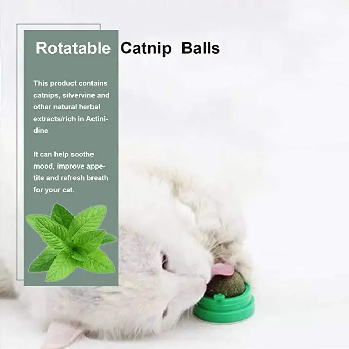 Pet Cat Натуральная кошачья мята для лакомства украшения дома на стене игрушки