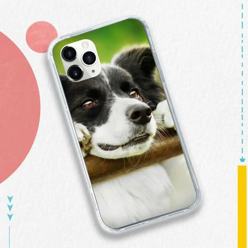 

Border Collie Dog Breed Phone Case Transparent soft For iphone 5 5s 5c se 6 6s 7 8 11 12 plus mini x xs xr pro max