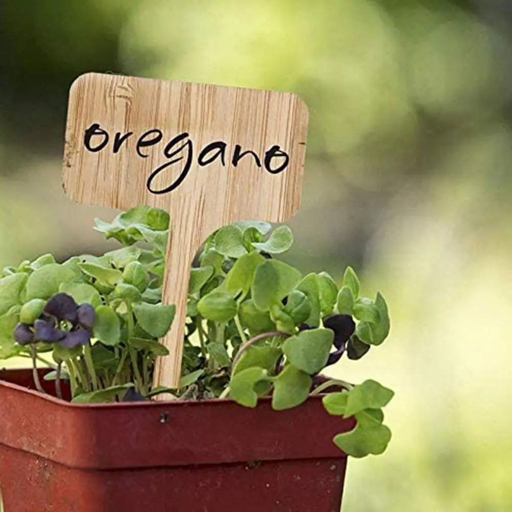 

10PCS T-Type Bamboo Plant Labels Eco-Friendly Wooden Plant Sign Tags Garden Markers for Bonsai Kind Potted Herbs Flowers Tool