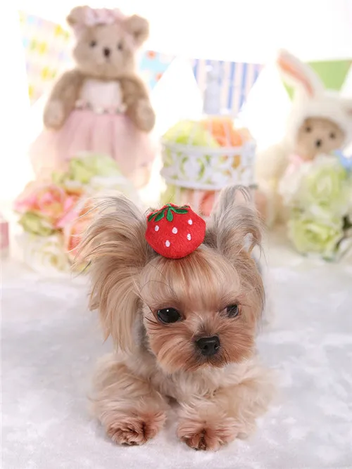 Red strawberry Горячая точка плюшевый домашний Йоркширский питомец собака милые маленькие животные Клубника Плюшевые стерео шпильки головные уборы ювелирные изделия милый питомец кошка праздник - Цвет: Red strawberry