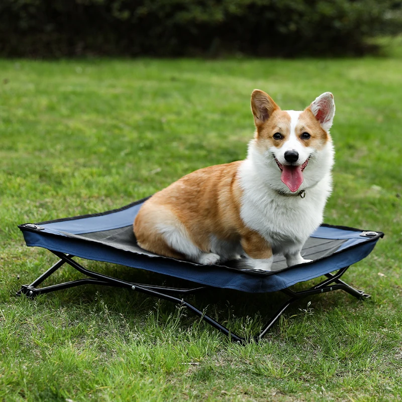 Fast Delivery Pet Dog Cage House with Tray Secure Metal Crates Double-Door Kennel Collapsible for Small Large Dogs | Дом и сад