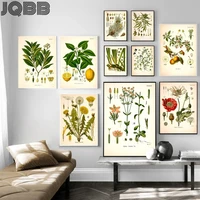 vintage botanical posters and prints kitchen wall pictures koehlers medicinal plants canvas painting for living room home decor