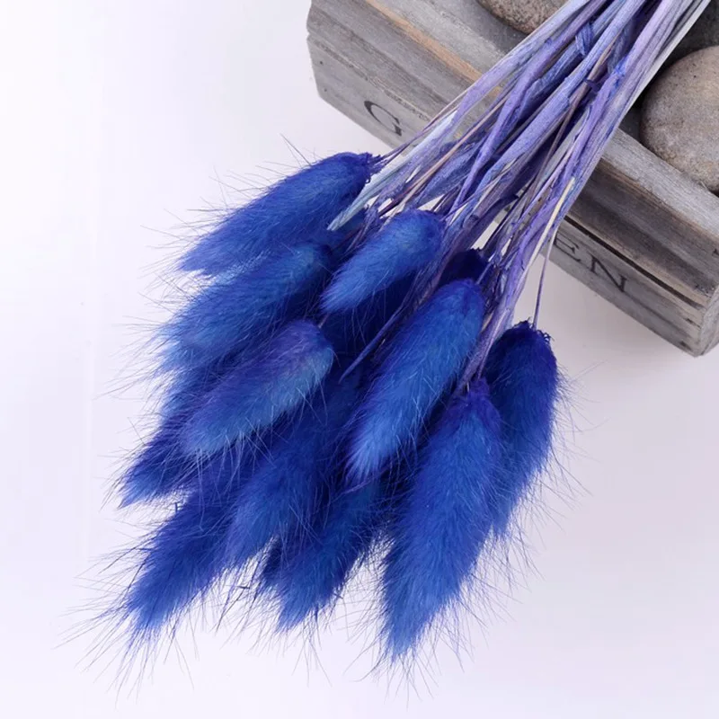 Royal blue 30 шт./лот, градиентный букет из натуральных сушеных цветов с изображением лагуруса оватуса, свадебные украшения для дома, Кролик хвост, трава, настоящие цветы - Цвет: Royal blue