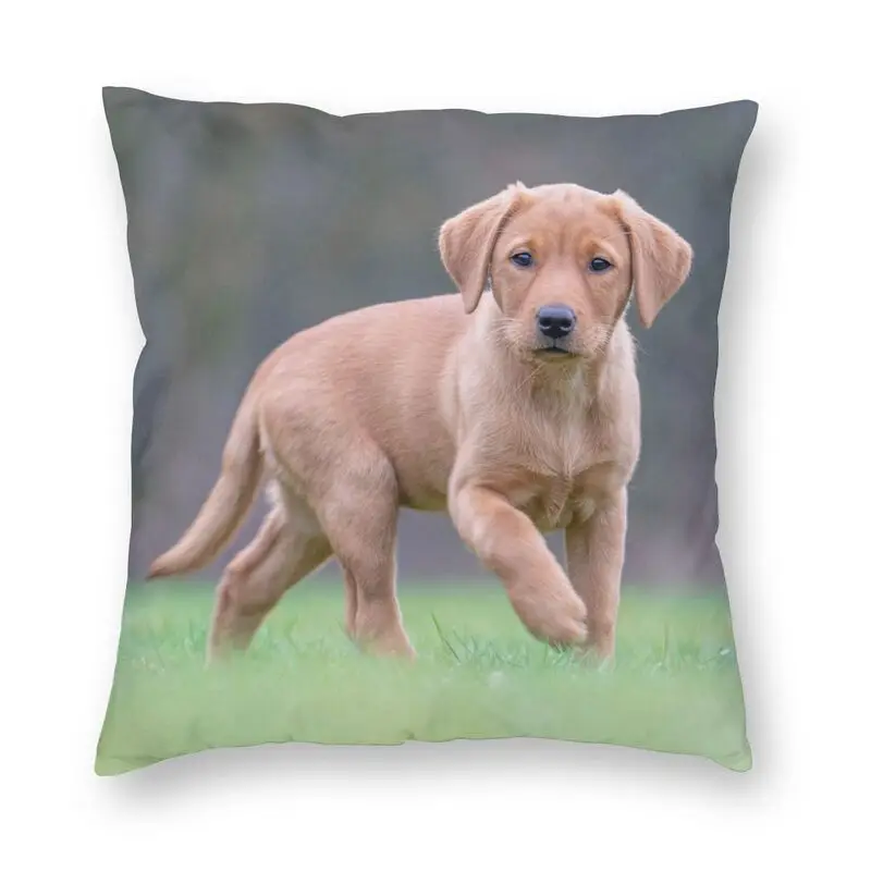 

Милый собак ретривера Лабрадора Pet Чехол для подушки с принтом диван Гостиная животный принт квадратная декоративная наволочка для подушки...