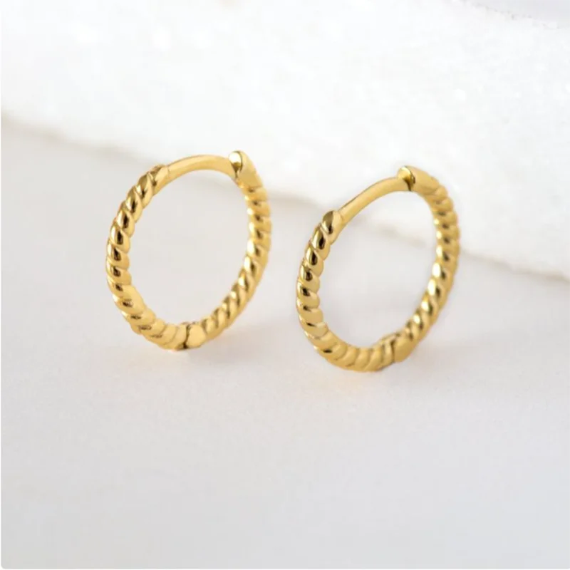 

CANNER 925 Sterling Silver Earrings For Women Ear Spiral Wild Earrings Hoops Zircon Korean Pendientes Silver/Gold Jewelry