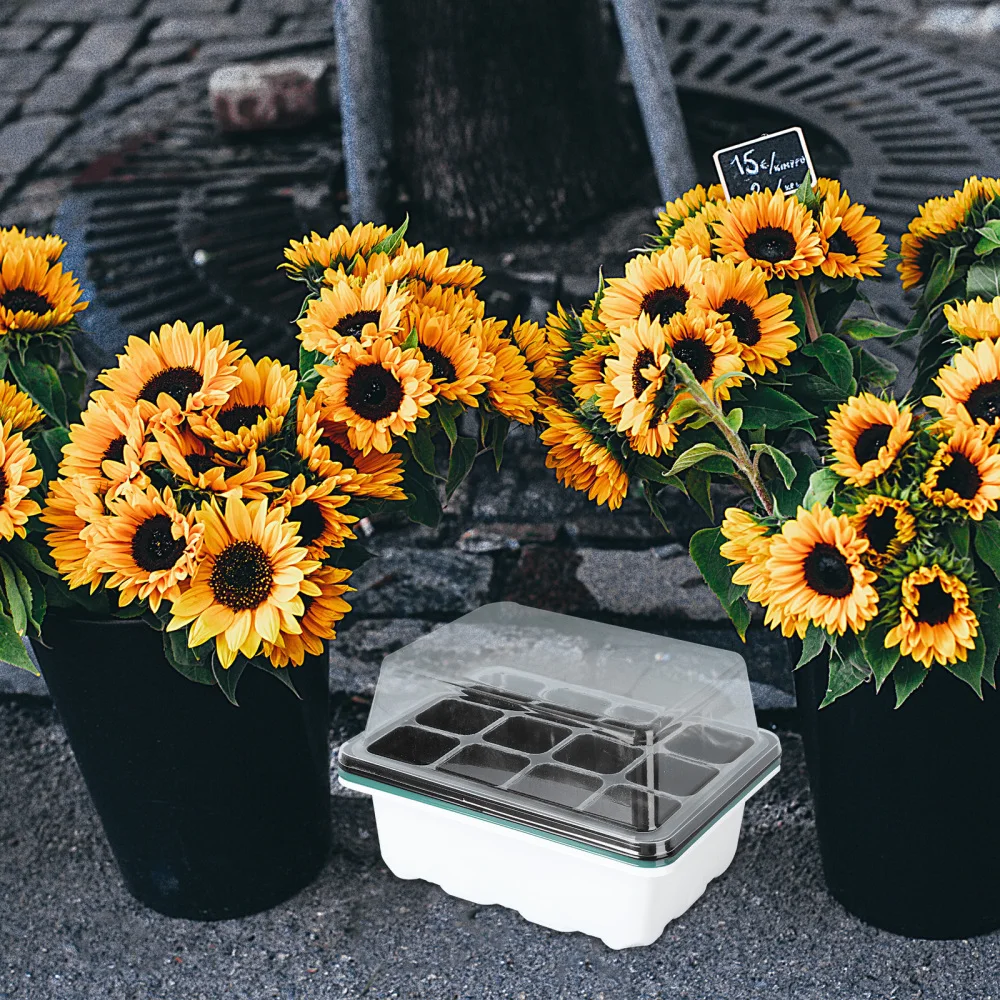 

3Pcs Garden Sprouter Tray Planting Germination Tray with Lid