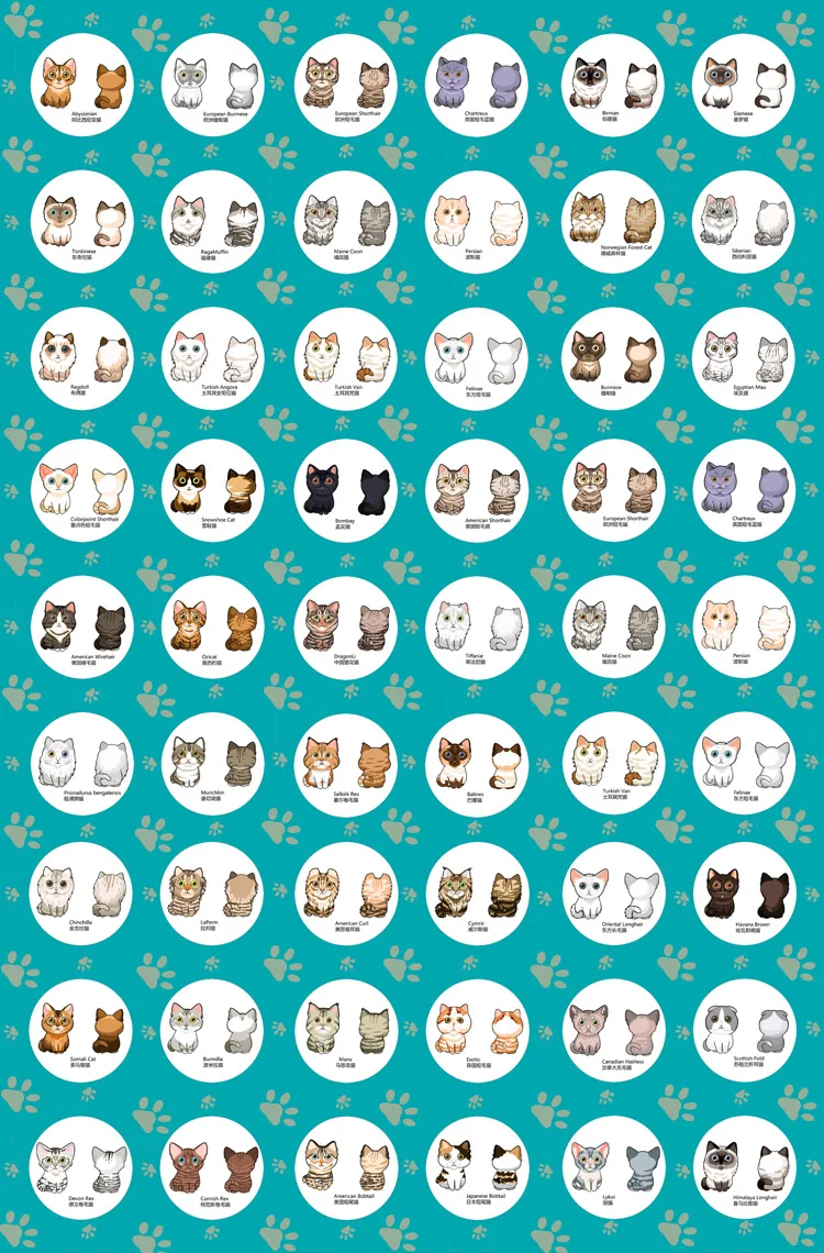 

All kinds of cats The Wooden 1000 Pieces Ersion Jigsaw Puzzle White Card Adult Children's Educational Toys