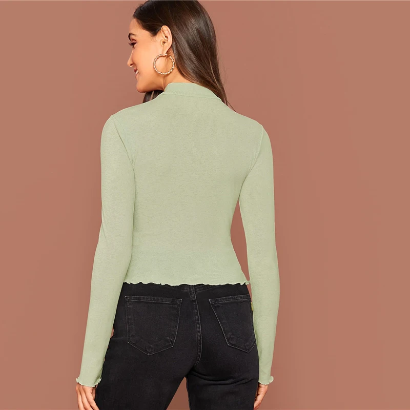 SHEIN Однотонная Водолазка С Высоким Воротником, Топ С Длинными Рукавами