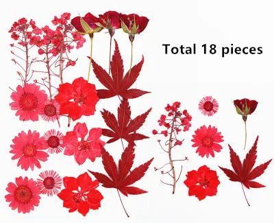 

Прессованные цветы NYAConfetti для декора