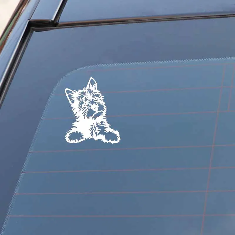 

Car Sticker Cute and Interesting York Dog Car Motorcycle Decorative Sticker Waterproof Cover Scratch Black/White, 15cmX13cm