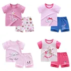 Комплект одежды для маленьких девочек; Летняя футболки с коротким рукавом + шорты; Хлопковый детский спортивный костюм; Пижама для маленьких девочек
