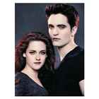 Картина из серии сумерки, алмазная живопись 5D 