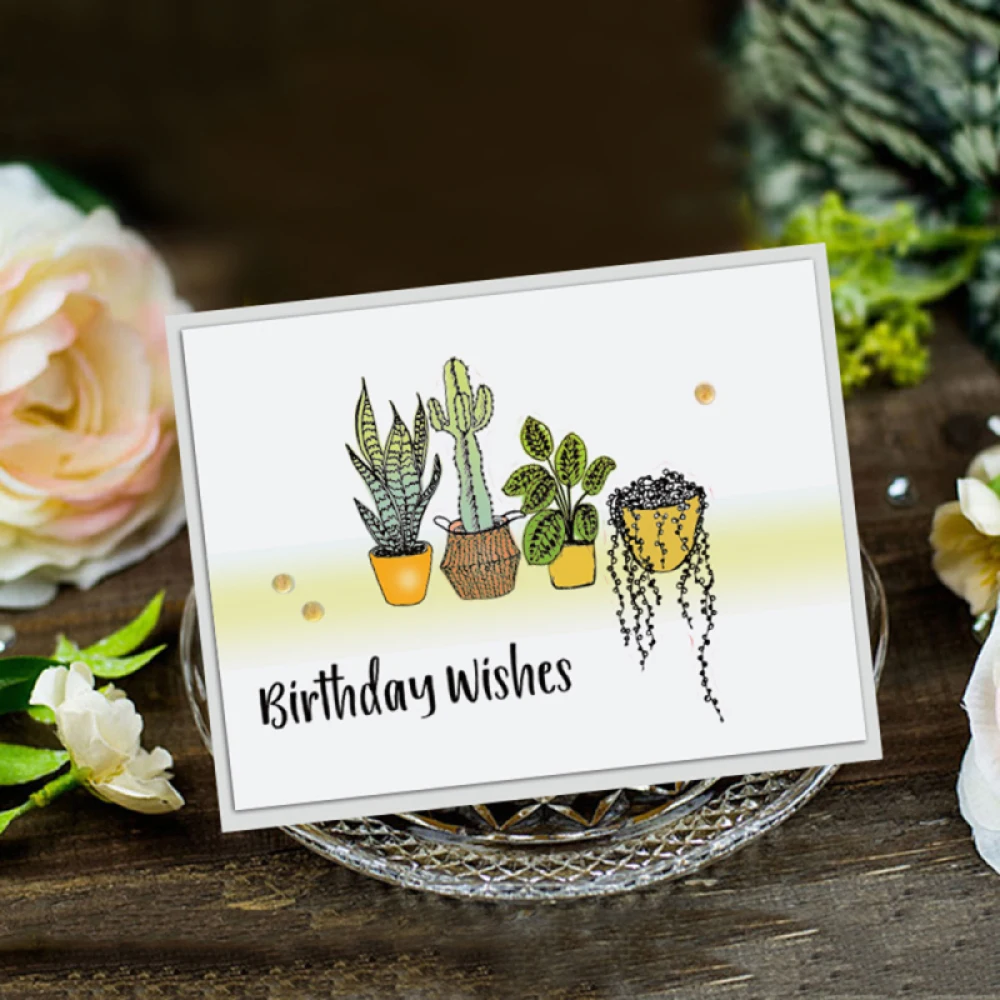 

Potted Plants Clear Stamp Birthday Wishes Transparent Stamps Cactus Craft Stamps Seal for DIY Scrapbooking Decoration Card Tools