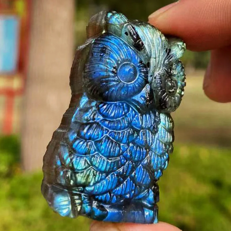 Натуральный Лабрадор Кварцевый Кристалл Ручная работа резная Сова лечение | Дом
