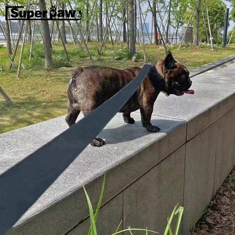 Модный Набор для питомца собаки ошейник и поводок собак домашних животных