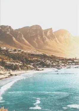 

Metal Sign Weekly Pregnancy Signs Baby Size Compared to Animals Tin Sign Bar Home Decoration New Year Sign The Best Gift