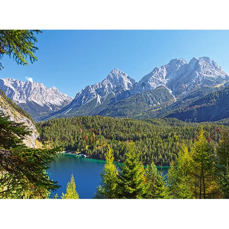 

CraftArtGo 5D DIY Diamond Embroidery Scenic Full Square Round Rhinestone Mosaic Painting Cross Stitch Flowers Diamond Kit