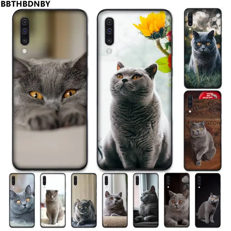 

British Shorthair cat Cute animal Phone Case For Samsung galaxy A S note 10 12 20 32 40 50 51 52 70 71 72 21 fe s ultra plus