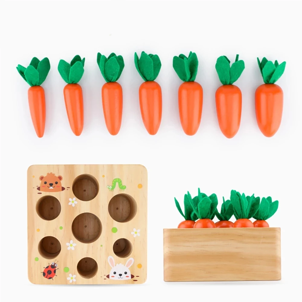 Juguetes de madera Montessori para beb&eacute;, conjunto de juguetes de madera con forma de zanahoria, tama&ntilde;o a juego, juguete educativo Montessori cognitivo-2