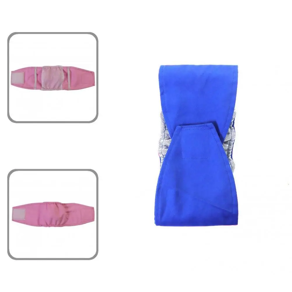 

Летние костюмы для домашних питомцев, не скатываются