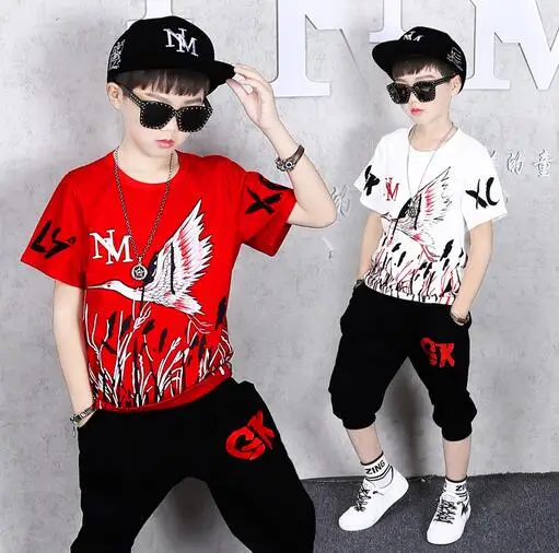 Комплект из футболки и штанов для мальчиков 4 6 8 10 12 14 лет |