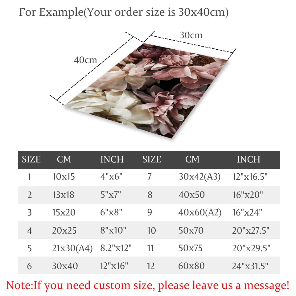 Плакат с розами пионы скандинавский Холст Картина Настенная живопись картинки