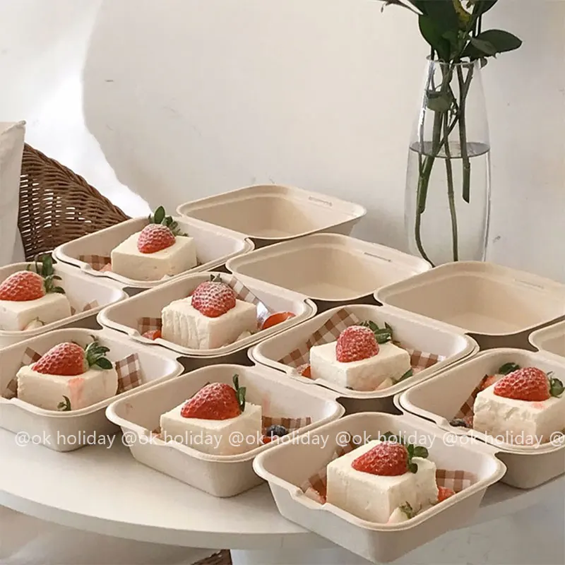 INS стиль бенто коробка для весенних прогулок для пикника для хлеба торта гамбургеров контейнер для фруктов - Идеальный пикник