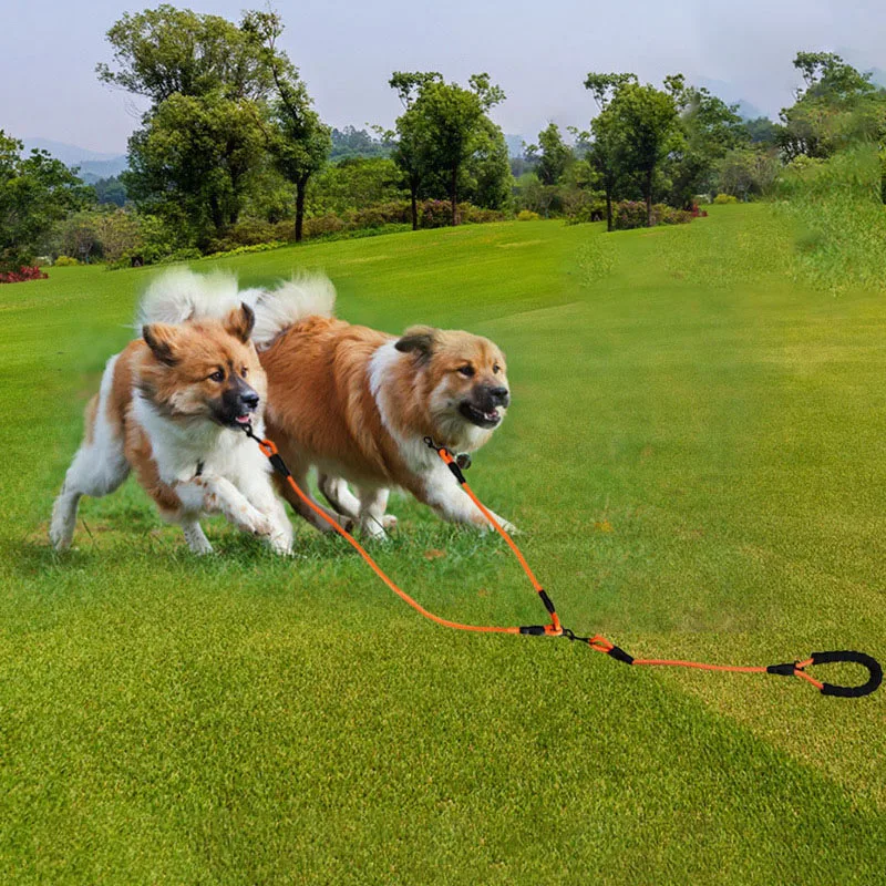 

Светоотражающие два поводок для больших собак, поводок для домашних животных нейлон 1 поводок для 2 средние и большие собаки двойной поводок...