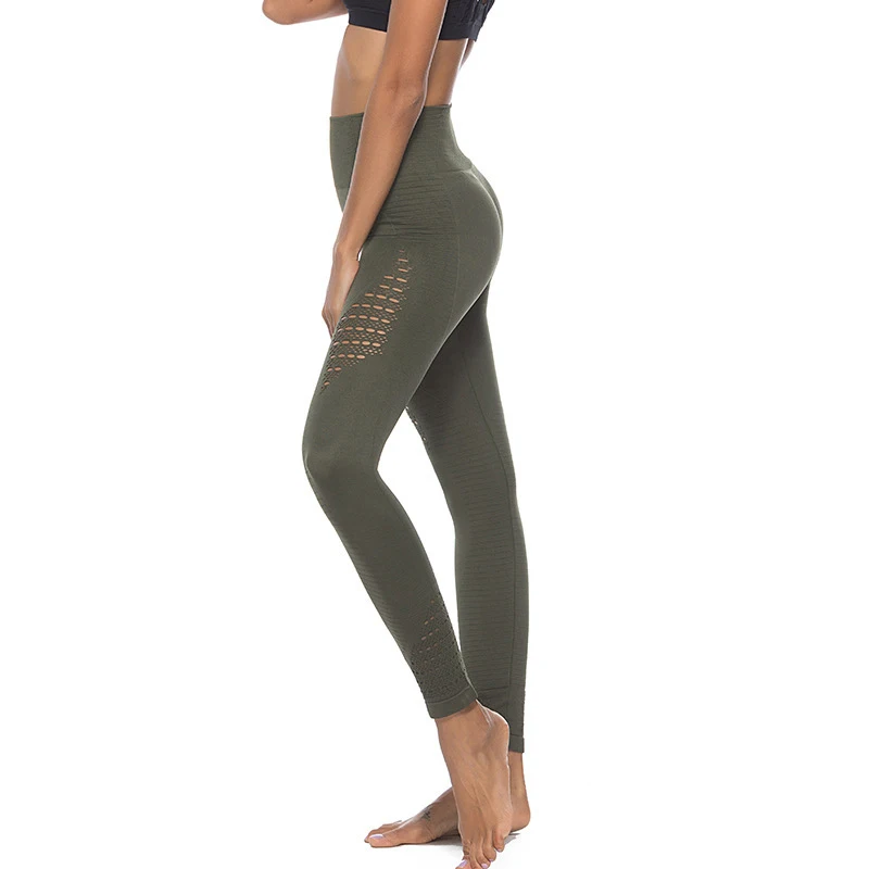 

Fitness & Body Building