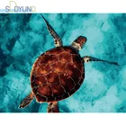 SDOYUNO 60x75 см Безрамная цифровая фотография для взрослых морская черепаха масляная Раскраска по номерам животные ручная роспись Декор