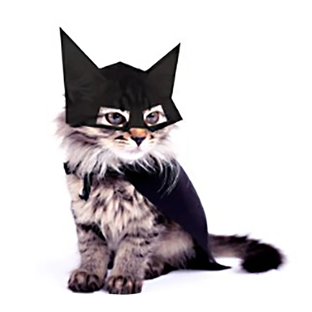 

2021 New Funny Pet Cat and Dog Halloween Costume Cosplay Bat Headgear Halloween Costume for Dogs Pet Products