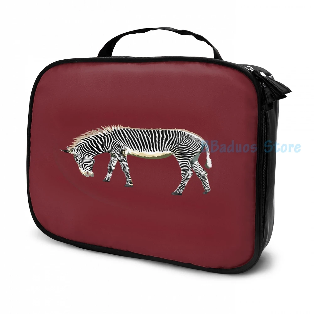 Забавный рюкзак с графическим принтом Be A Zebra USB-зарядкой мужские школьные сумки