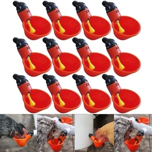 

Watering supplies 12 PCS Feed Automatic Bird Coop Poultry Chicken Fowl Drinker Water Drinking Cups Livestock Feeding Supplies