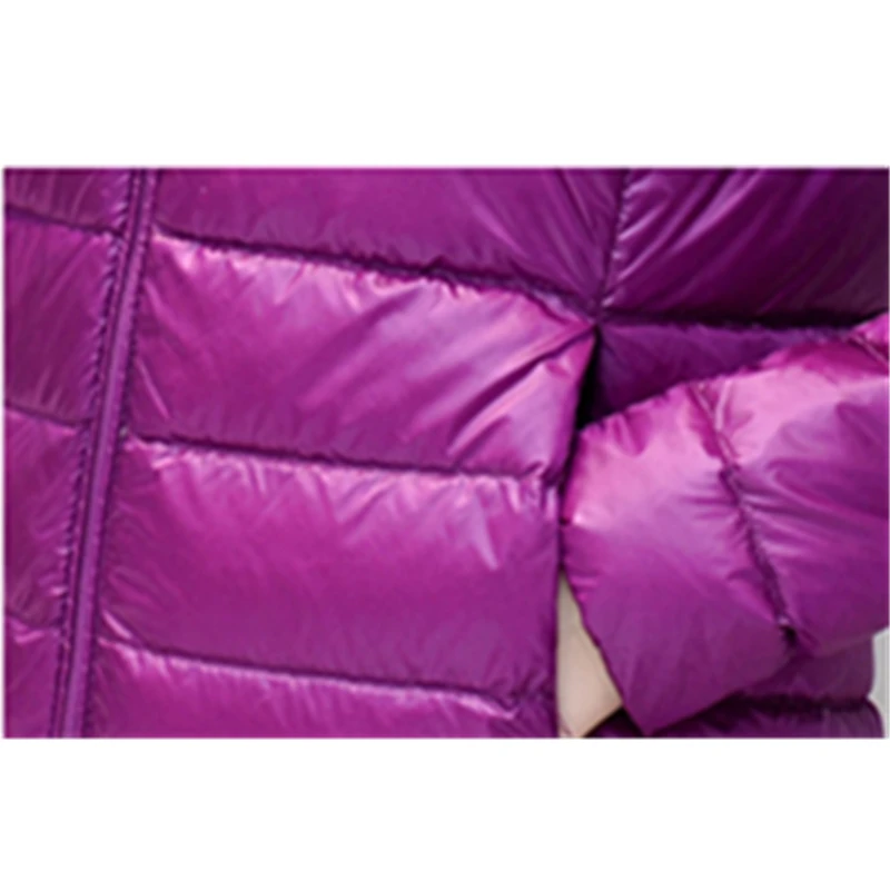 Женский пуховик с длинным рукавом на молнии воротником стойкой|Женские пуховики|