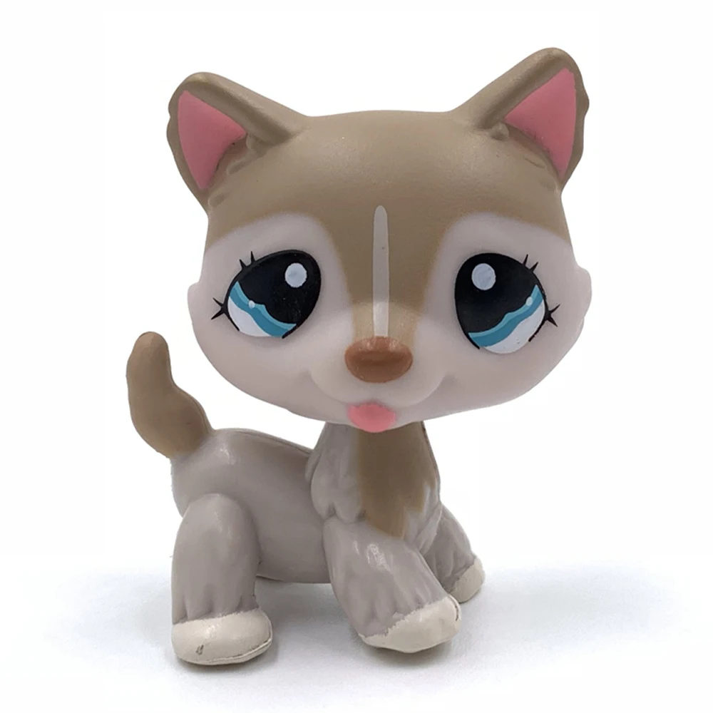 LPS кошка редкие животные игрушки для питомцев щенков #1012 bronw собака с голубыми