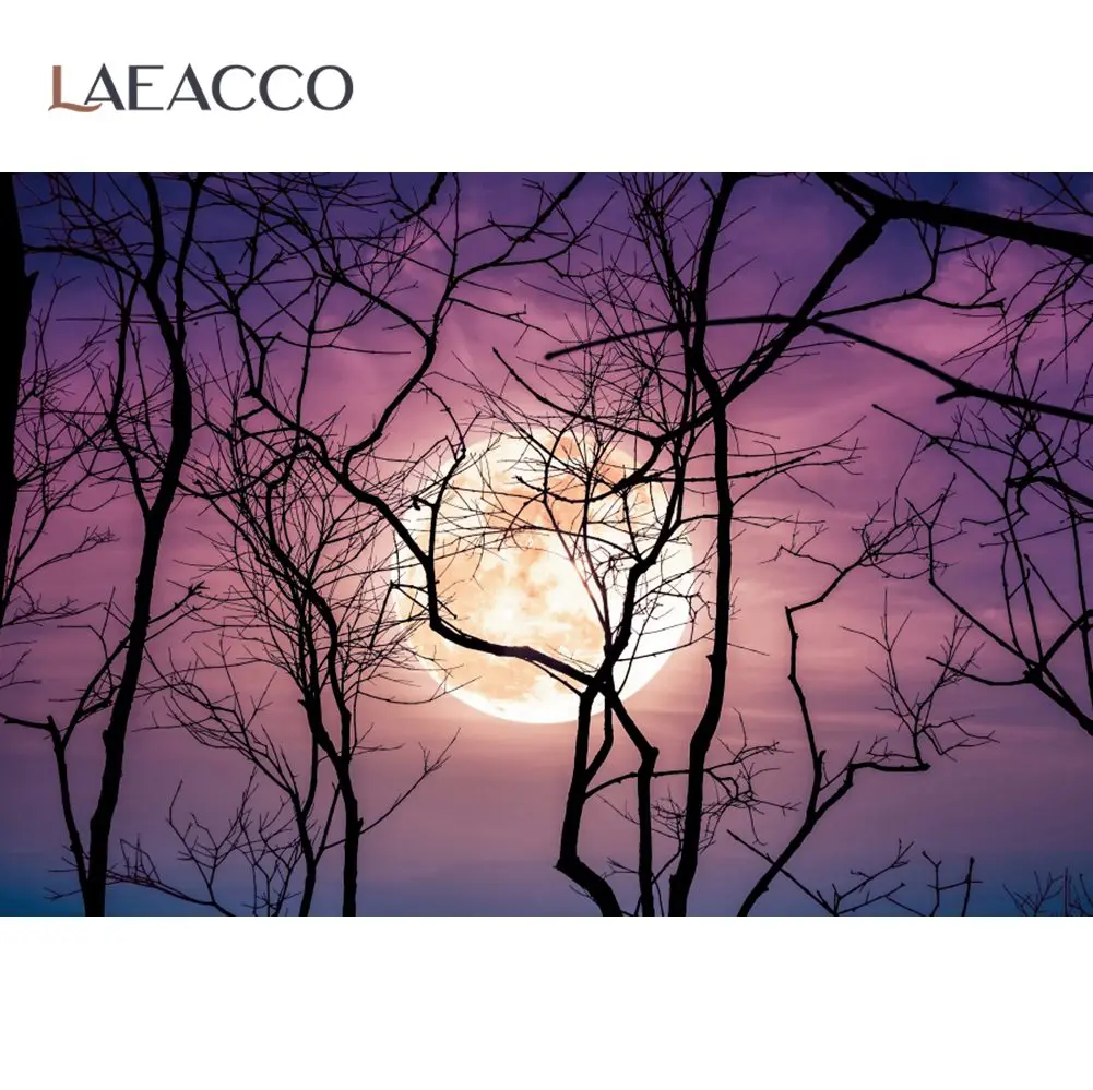 

Laeacco, темный Лес, дерево, луна, ужасный ночной пейзаж, Хэллоуин, каникулы, праздники, Живописный фон для фотосъемки, фотографический фон