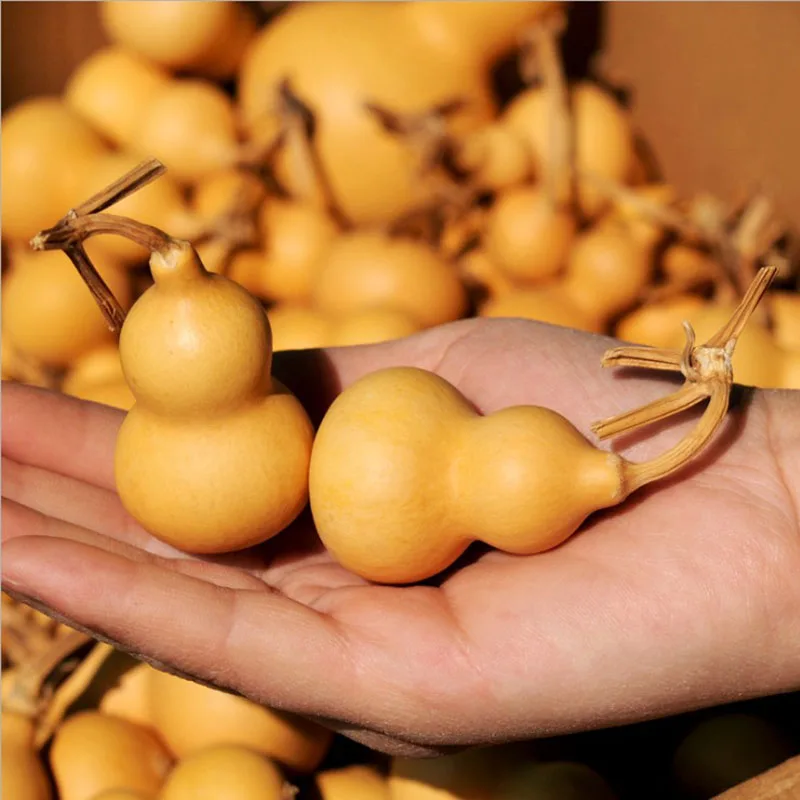 10 шт. миниатюрные Натуральные сушеные тыквы маленькая бутылочная тыква