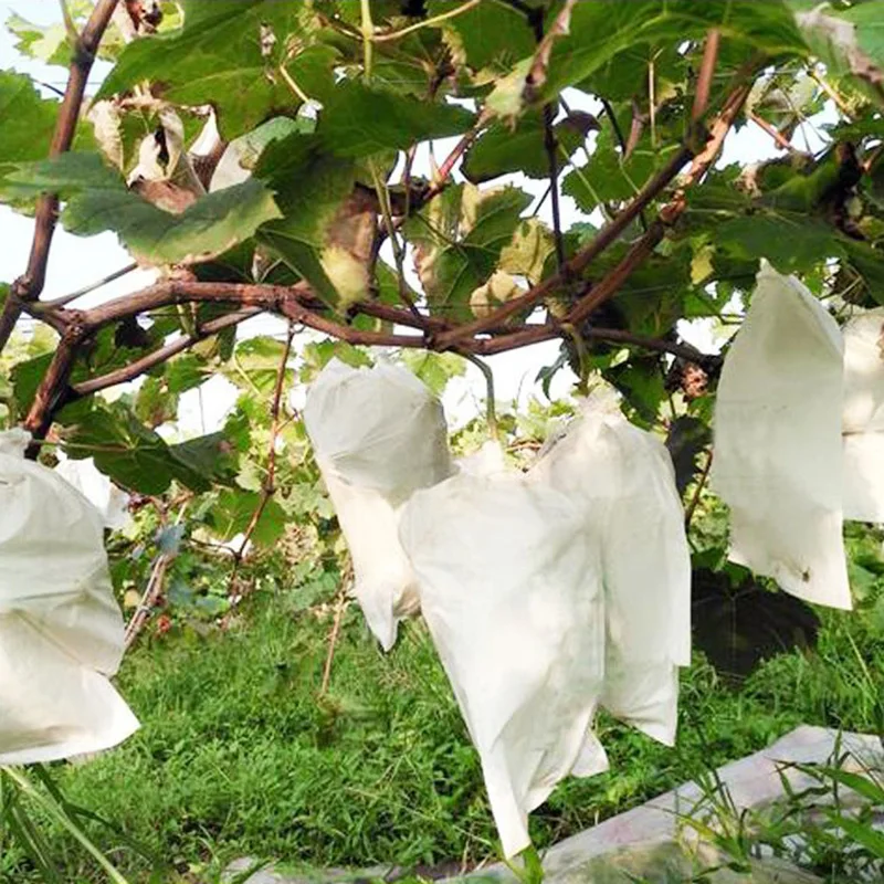 100 шт. нетканые ткани плёнка для защиты от птиц пчел насекомых Виноградов