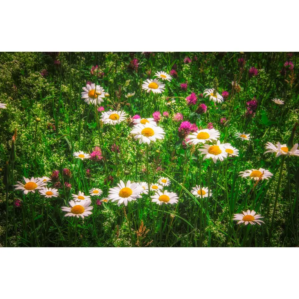 

Vinyl Custom Photography Backdrops Flower and Wooden Planks Theme Photography Background 200309HK-011